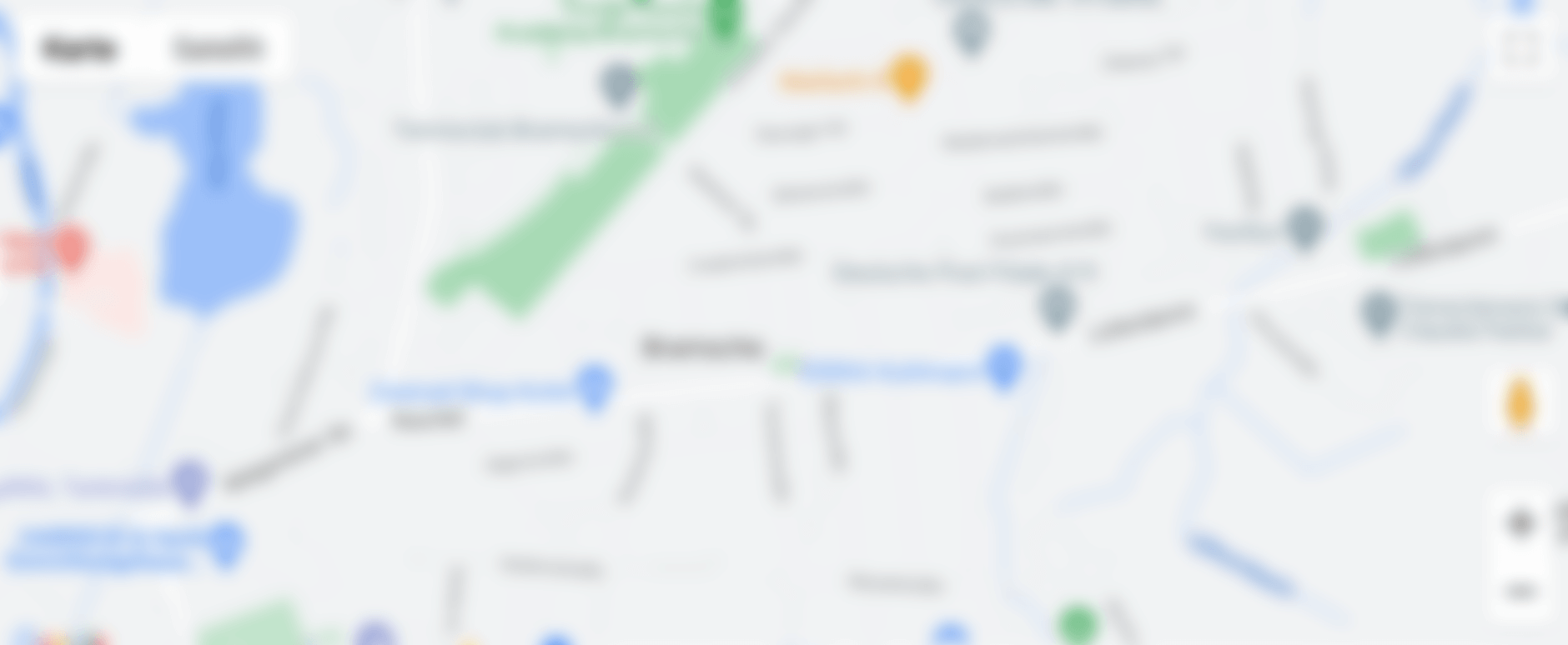 Google Maps Placeholder